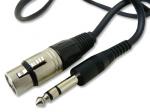 Microphone Cable (Stereo Plug To XLR Plug)